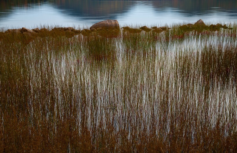 Eagle-Lake-Grass-US.jpg-A