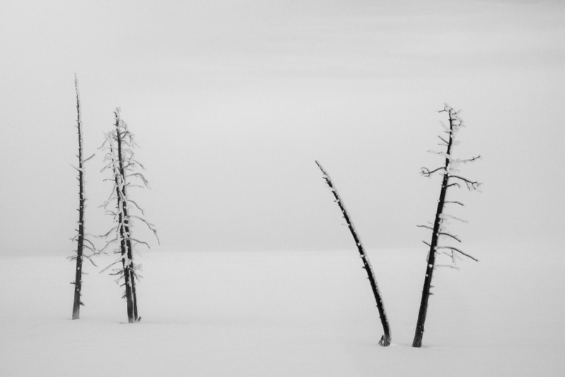 Silence-in-White-B-Yellowstone-US.jpg-A