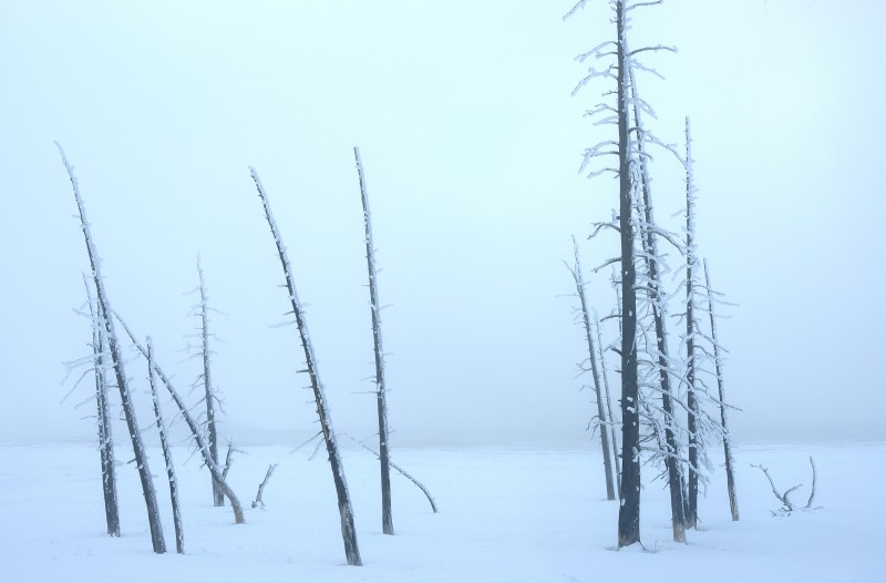 Silence-in-White-Yellowstone-US.jpg-A