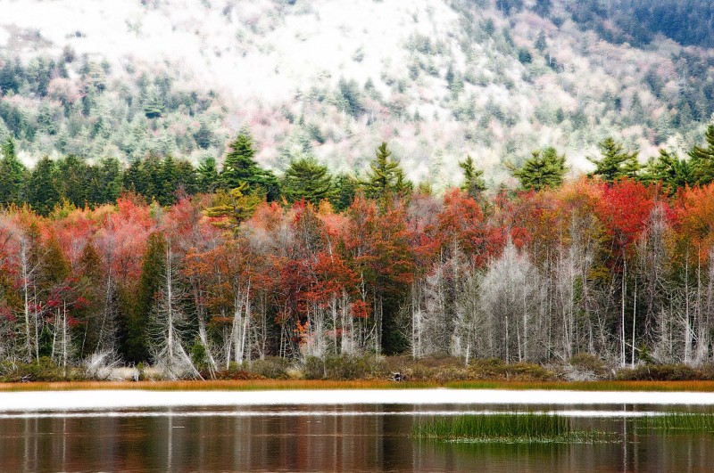 Dream-of-Fall-Maine-US.jpg-A
