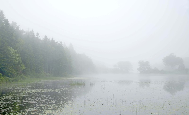 Fog-Maine-US.jpg-A