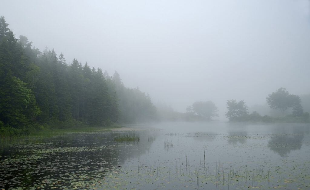 Fog, Maine