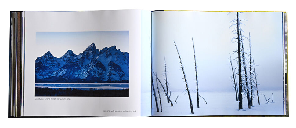 MAJESTIC LIGHT BOOK