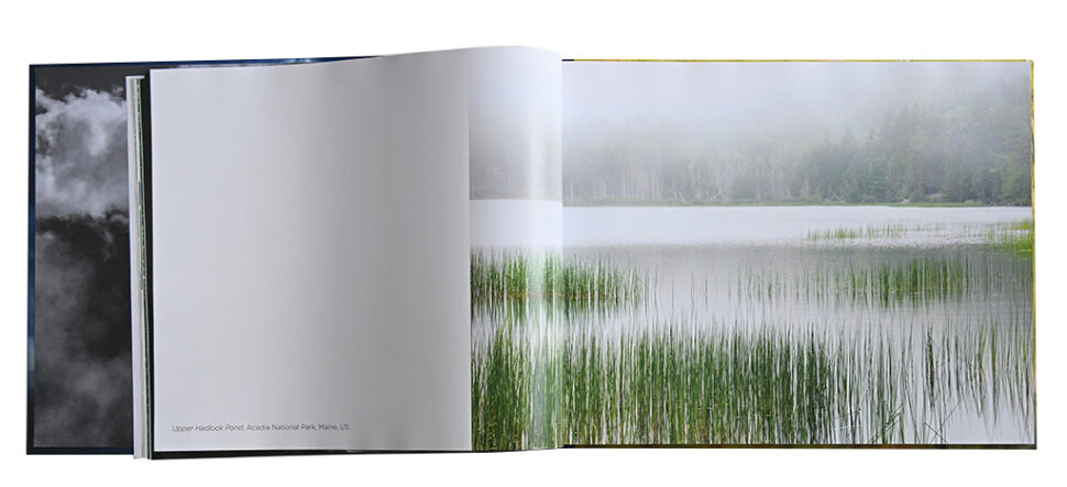 MAJESTIC LIGHT BOOK
